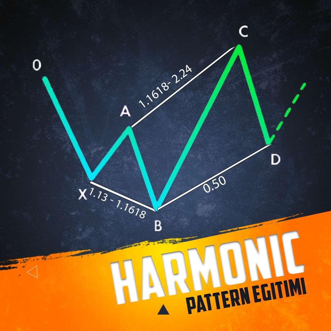 harmonic eğitimi